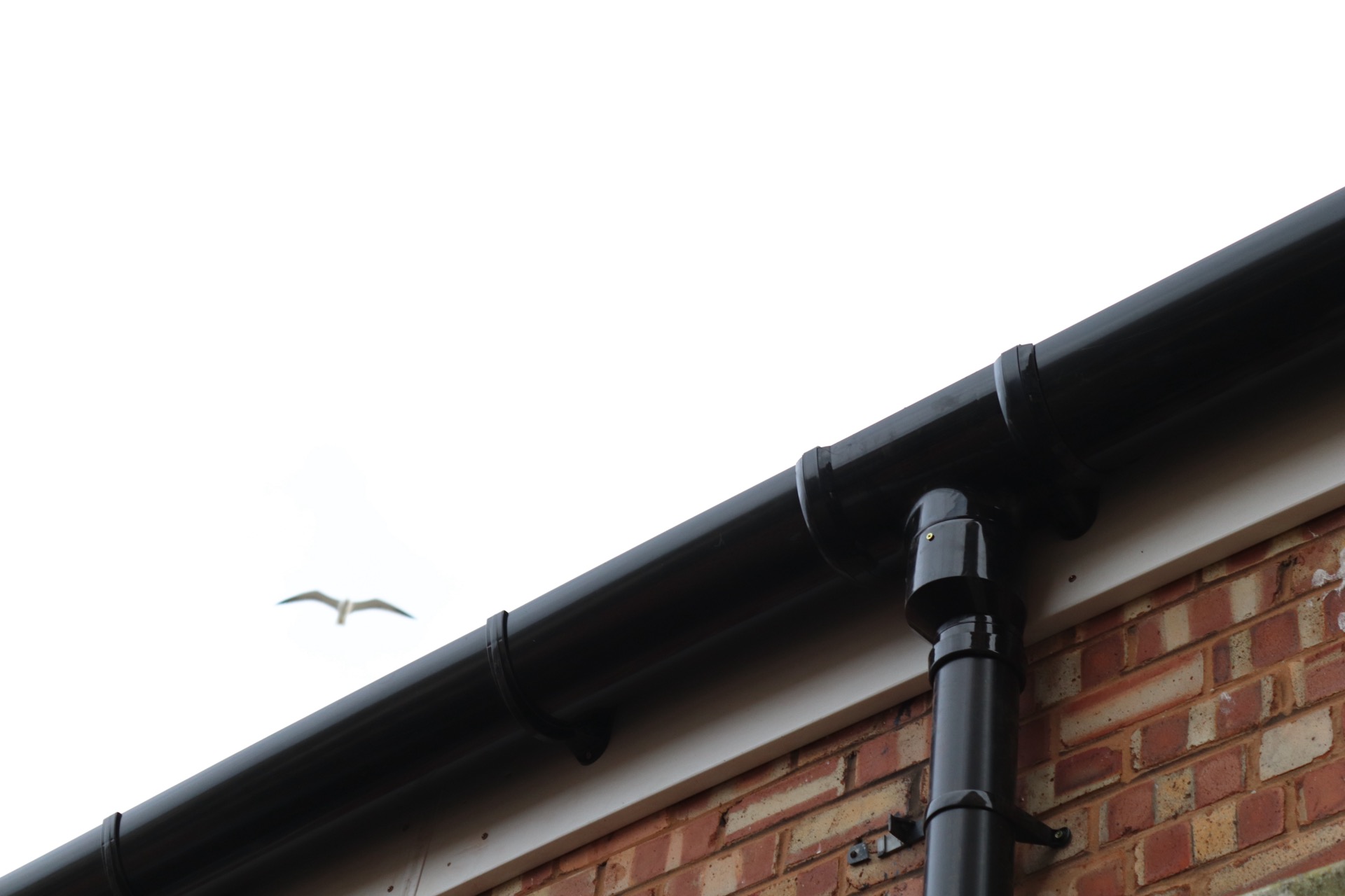 How to Fix Overflowing Gutters (6 Common Causes)